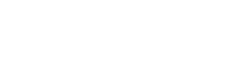 Eagle Vision Seguridad